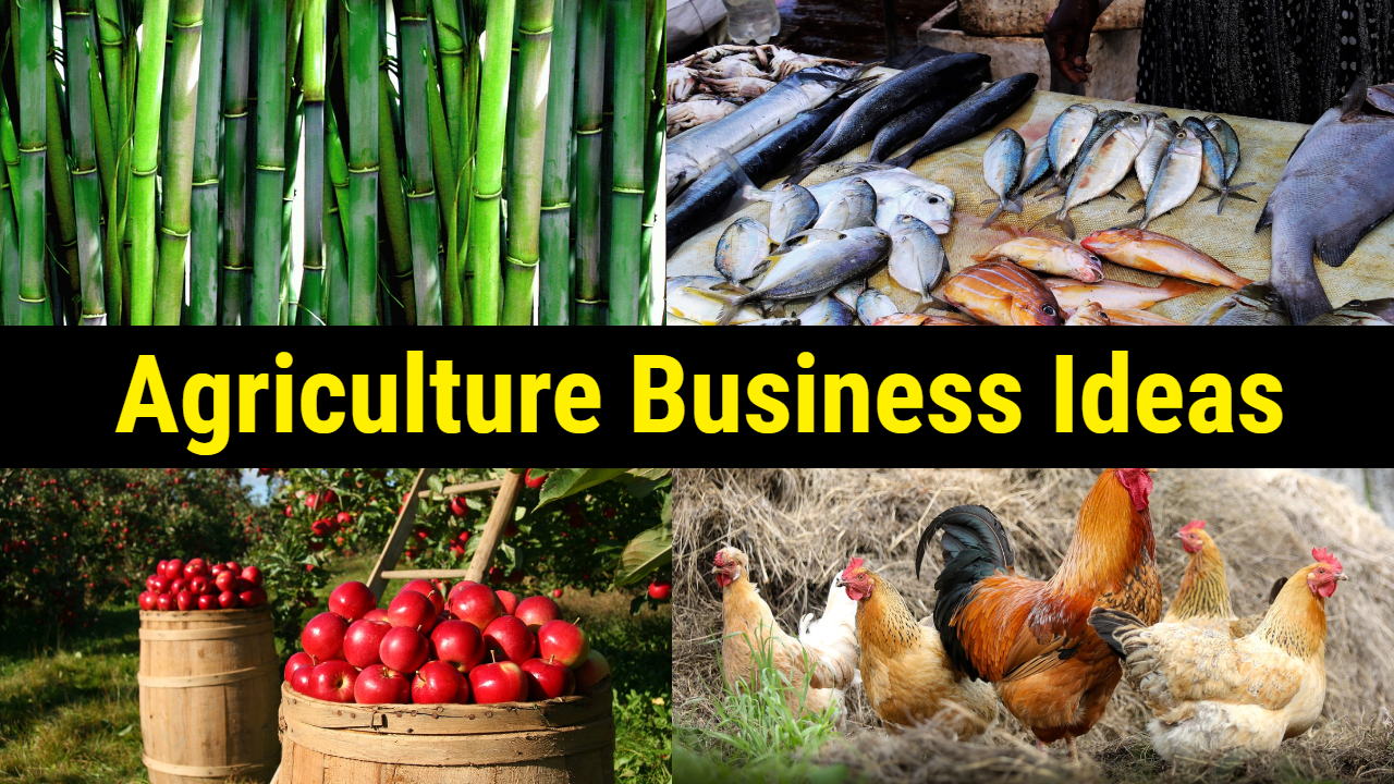 Agriculture Business Ideas | कृषि व्यवसाय के कुछ बेहतरीन नए आईडिया
