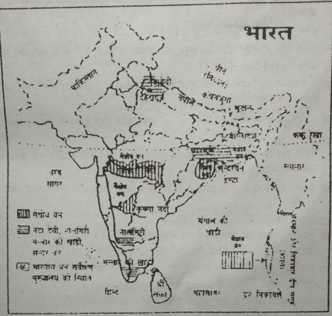 Bihar Board Class 11 Sociology प र क त क वनस पत Sabdekho